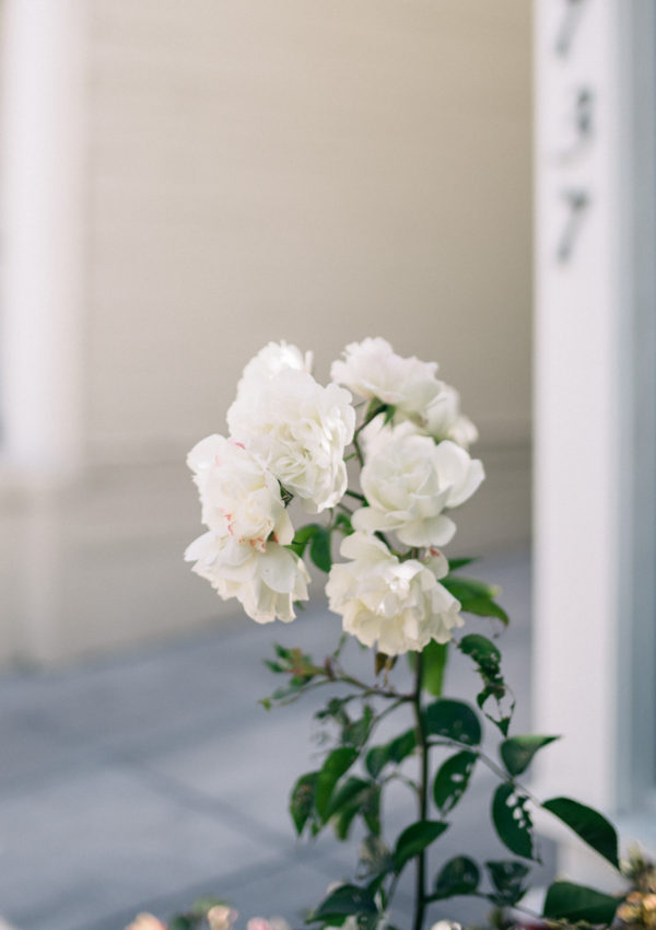 Inspiring Action With Your Why