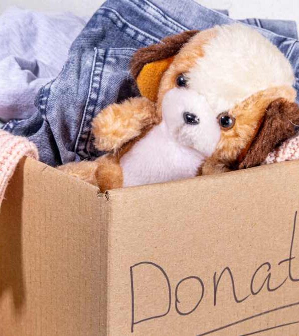 Unleash The Magic of Decluttering